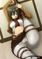 attack_on_titan_-_mikasa_20130914_076.jpg